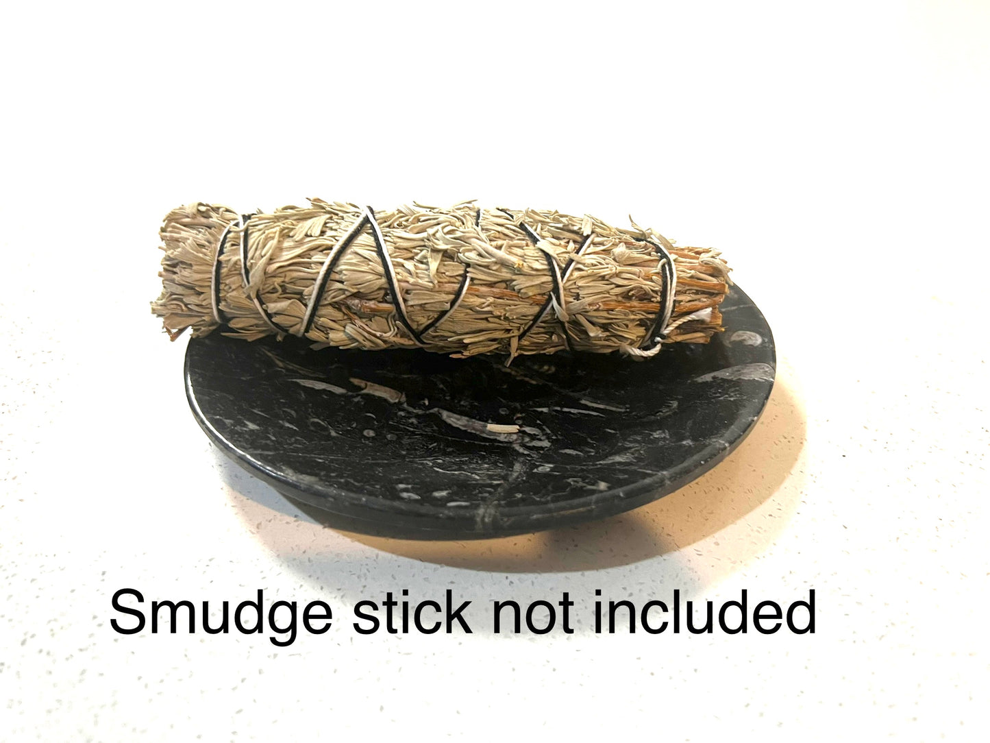 Orthoceras fossil plate