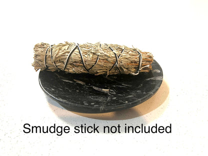 Orthoceras fossil plate